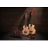 Ibanez AUT10-OPN AU Tenor Ukulele Open Pore Natural Incl. Gigbag