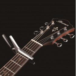 Ibanez ICGC10