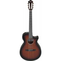 Ibanez AEG74N-MHS