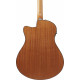 Ibanez AAM50CE-OPN Ibanez AAM50CE-OPN