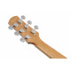 Ibanez AAM50CE-OPN Ibanez AAM50CE-OPN