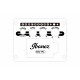 Ibanez AAM70CE-TBN Ibanez AAM70CE-TBN