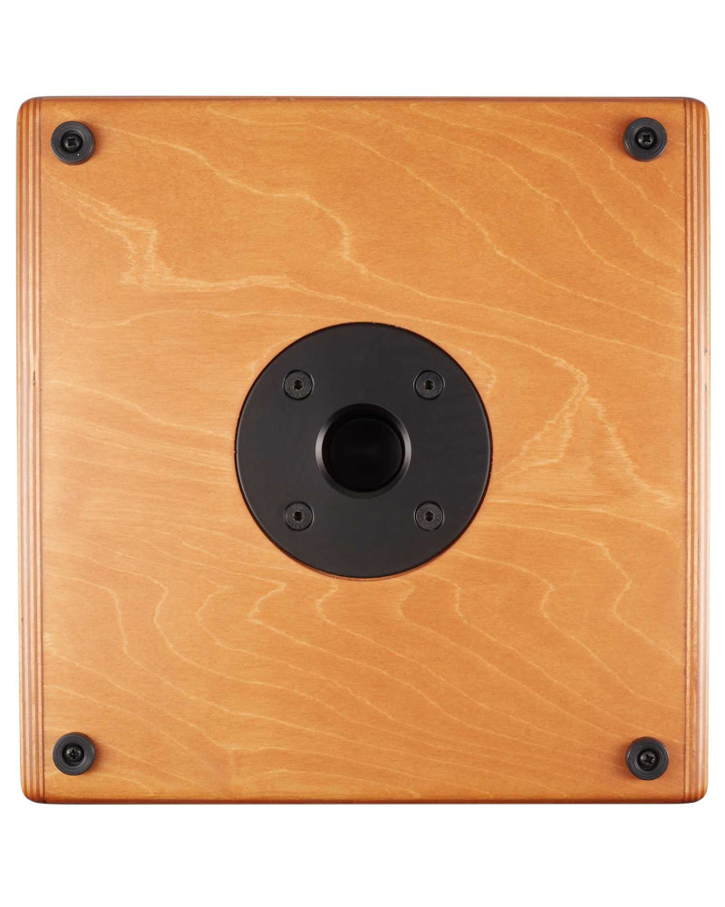 Acus ONEFORSTREET 10 WOOD