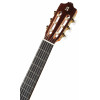 Alhambra 7 C Classic