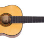 Alhambra 10 Fc