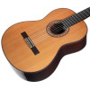 Alhambra 10 Premier