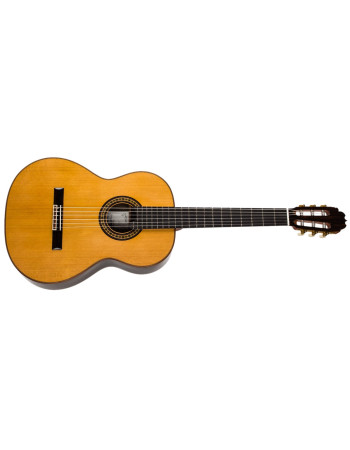 Alhambra Luthier Aniversario
