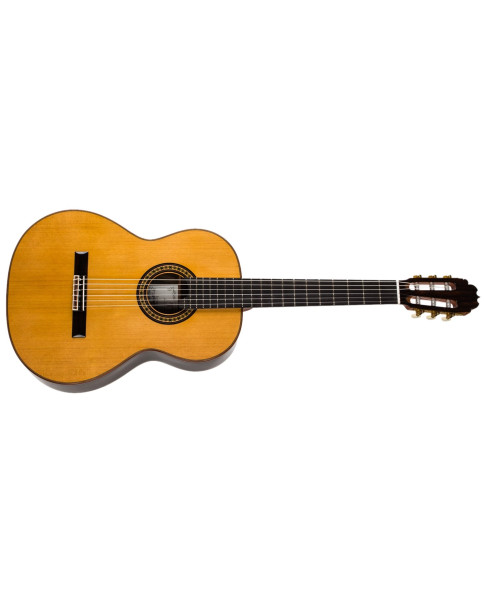 Alhambra Luthier Aniversario