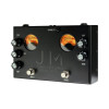 Ashdown John Myung Double Drive