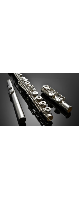 Azumi AZS2RE Flute, S-Cut, open-hole, E-mechanism