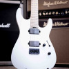 ESP USA M-II HARDTAIL - Jaap O. Pearl White