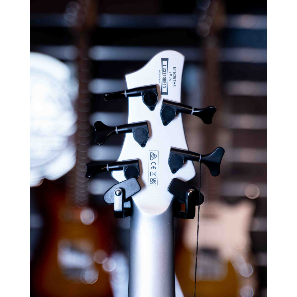 Ibanez BTB25TH5-SLM BTB 5-Str 25th Anniversary Silver Blizzard Matte