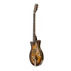 Duesenberg Alliance Series Joe Walsh Gold Burst