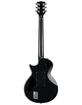 E-II EIIRZKIIBURNTFL RZK-II BURNT FL