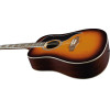 EKO Ranger VI VR Honey Burst