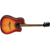 EKO One D CW EQ Vintage Burst