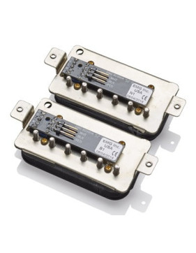 EMG Fat 55 set zebra
