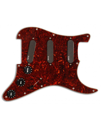 EMG VG20