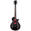 LTD LGH200BLK GH-200 Black GARY HOLT