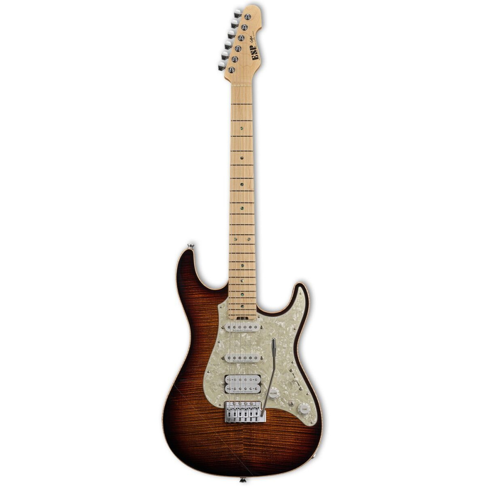 ESP 10009969 SNAPPER-CTM FM/HR TIGER EYE SUNBURST