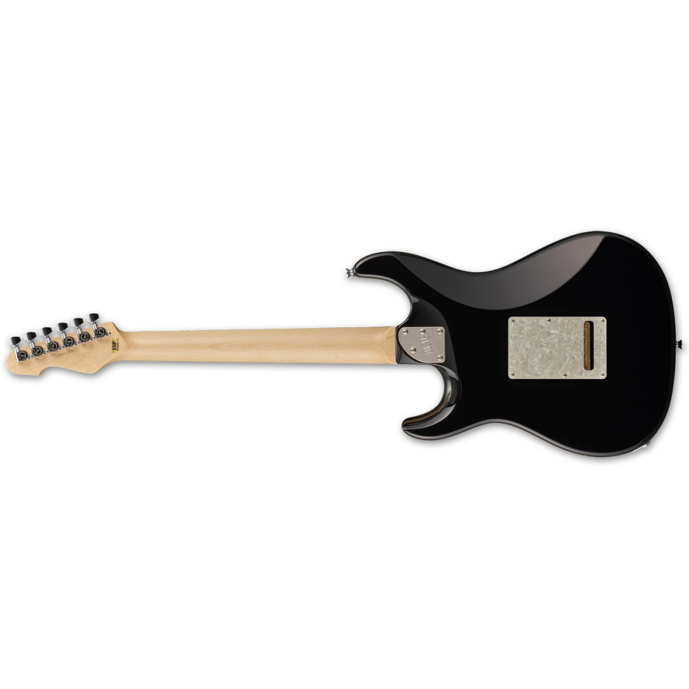 ESP 10009969 SNAPPER-CTM FM/HR TIGER EYE SUNBURST