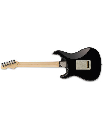 ESP 10009969 SNAPPER-CTM FM/HR TIGER EYE SUNBURST