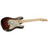 ESP 10009969 SNAPPER-CTM FM/HR TIGER EYE SUNBURST