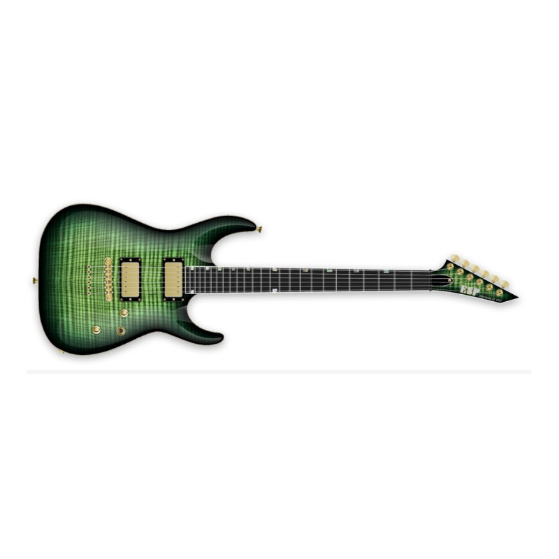 ESP USA 10022976 HORIZON-II USA