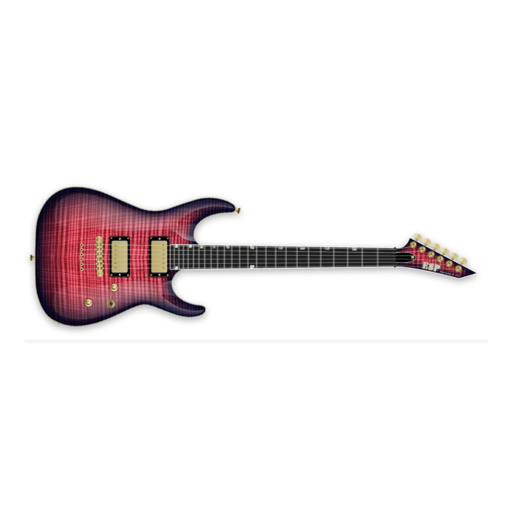 ESP USA 10022984 HORIZON-II USA