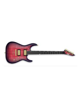 ESP USA 10022984 HORIZON-II USA