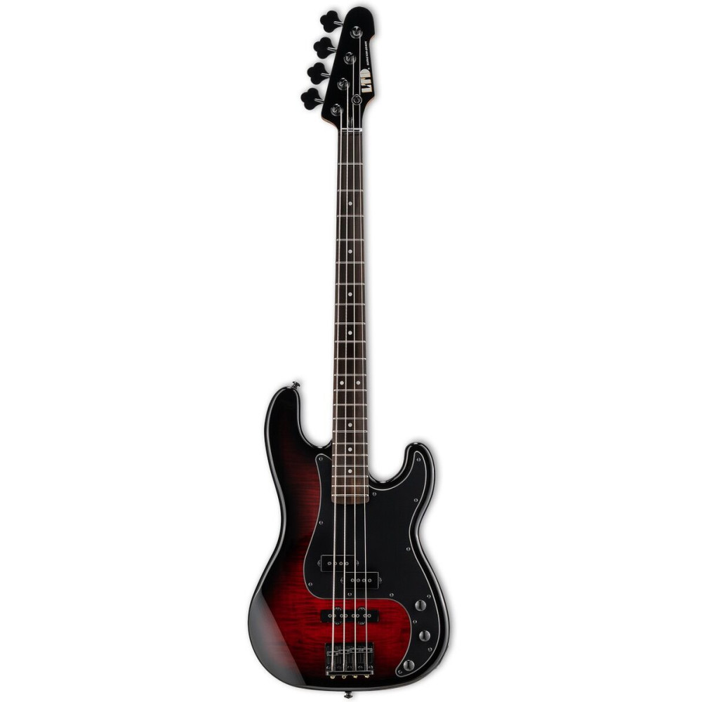 LTD LSURV204DXBLKB SURVEYOR-204DX BLACK BURST