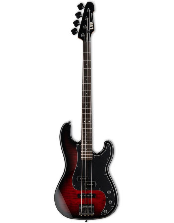 LTD LSURV204DXBLKB SURVEYOR-204DX BLACK BURST