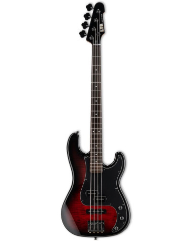 LTD LSURV204DXBLKB SURVEYOR-204DX BLACK BURST