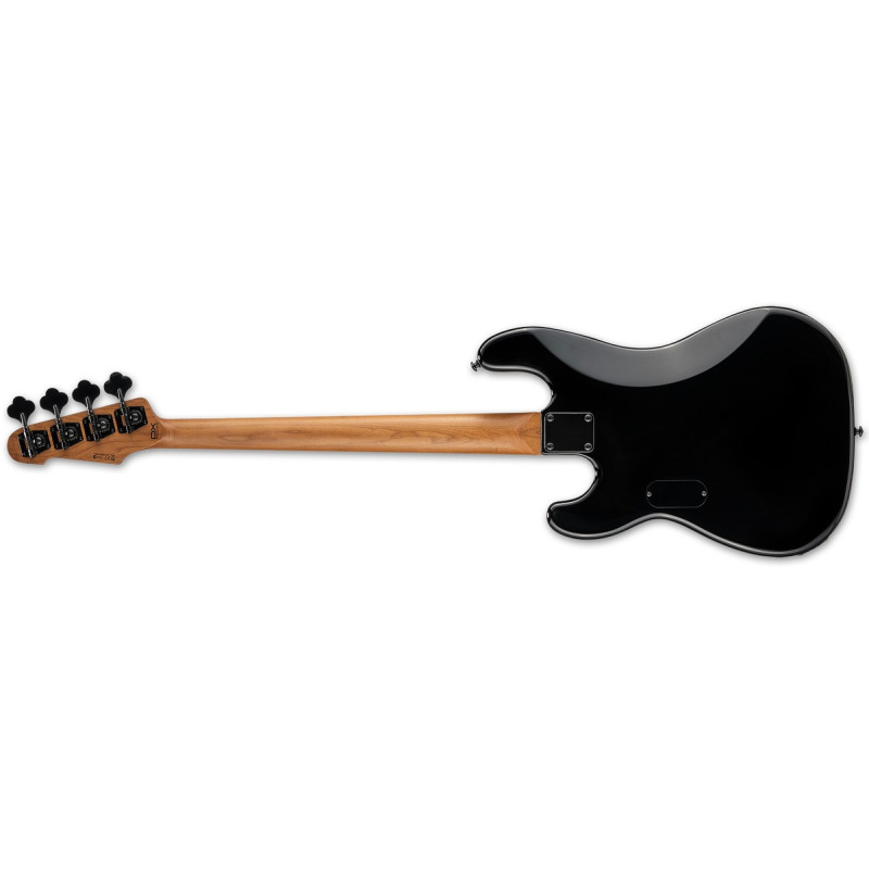 LTD LSURV204DXBLKB SURVEYOR-204DX BLACK BURST