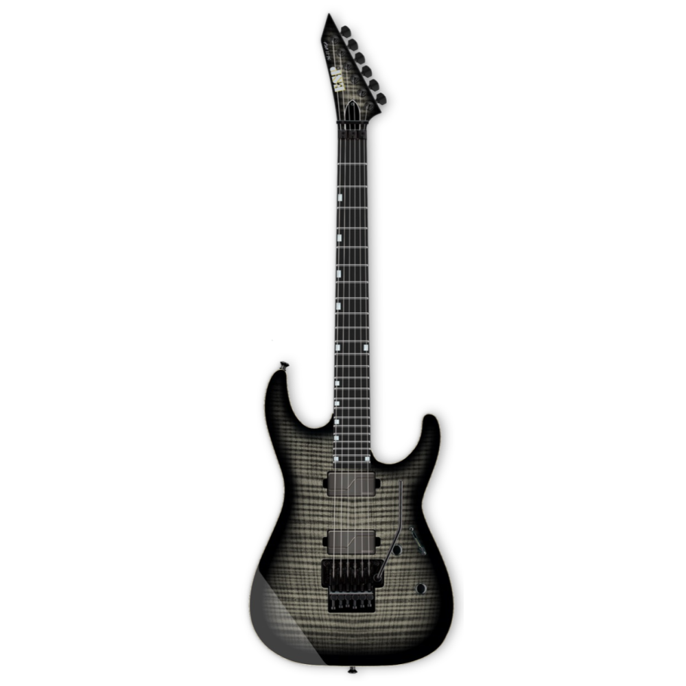 ESP USA M-II DX FM STBLKSB FL BH Fisman Modern Set