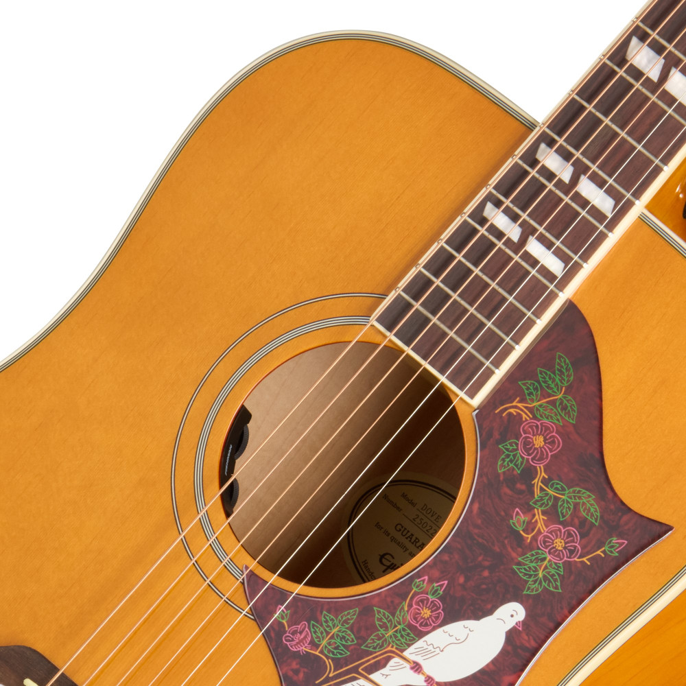 Epiphone Dove Studio, Natural