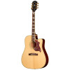 Epiphone Hummingbird Standard EC, Natural