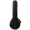 Epiphone Mastertone Bowtie Open Back Banjo, Natural