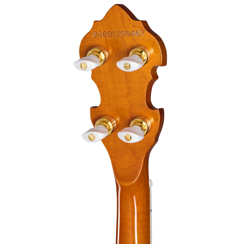 Epiphone Earl Scruggs Golden Deluxe Banjo, Vintage Sunburst, Natural