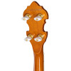 Epiphone Earl Scruggs Golden Deluxe Banjo, Vintage Sunburst, Natural
