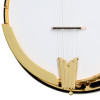 Epiphone Earl Scruggs Golden Deluxe Banjo, Vintage Sunburst, Natural