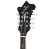 Epiphone IGC F-5G, Cremona Sunburst