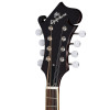 Epiphone F-5 Studio, Vintage Sunburst Satin