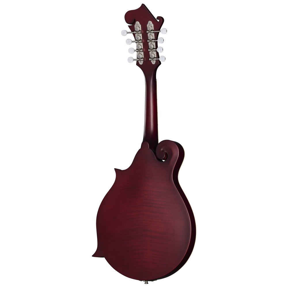 Epiphone F-5 Studio, Wine Red Satin