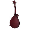 Epiphone F-5 Studio, Wine Red Satin