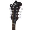 Epiphone F-5 Studio, Wine Red Satin
