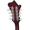 Epiphone F-5 Studio, Wine Red Satin
