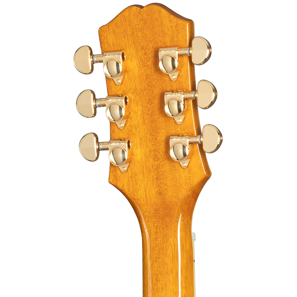 Epiphone Sheraton, Natural