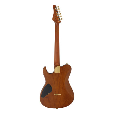 FGN FGEILEW1HSRMHCB Electric Guitar, Expert Iliad EW, Hojicha Burst, Case