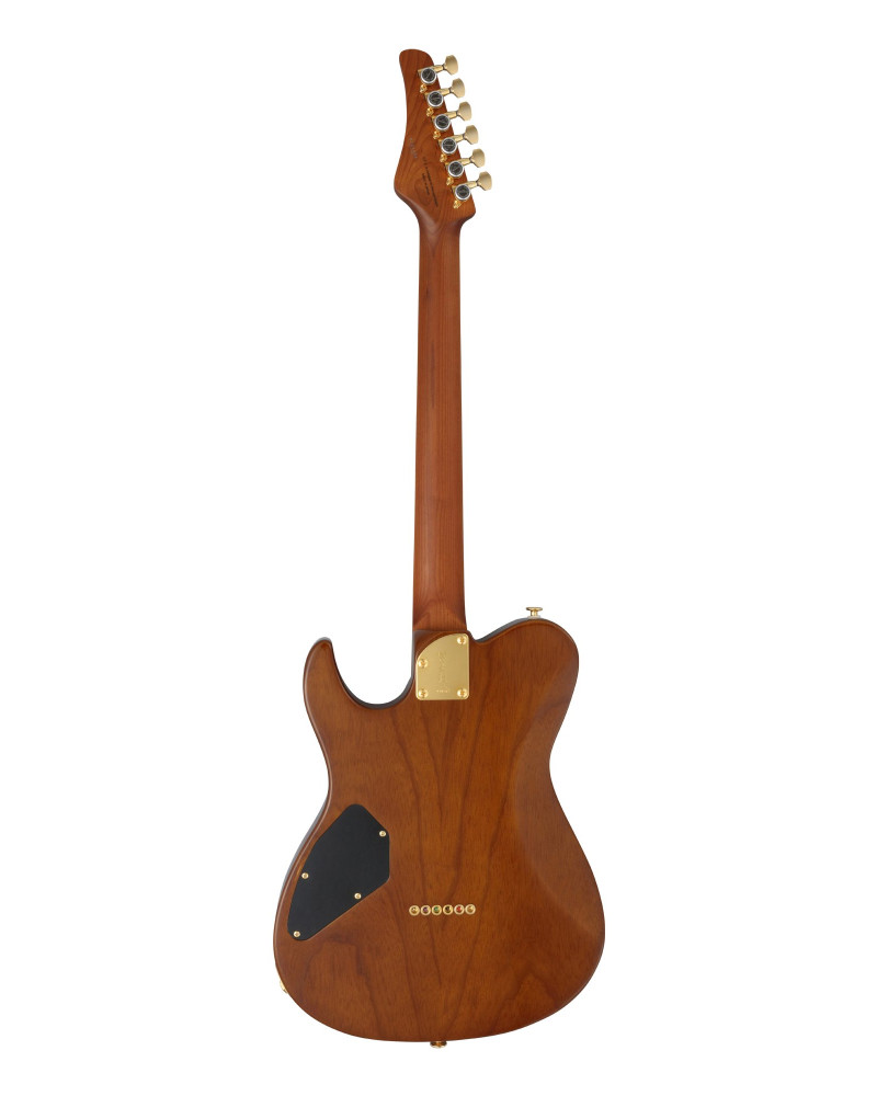 FGN FGEILEW1HSRMHCB Electric Guitar, Expert Iliad EW, Hojicha Burst, Case